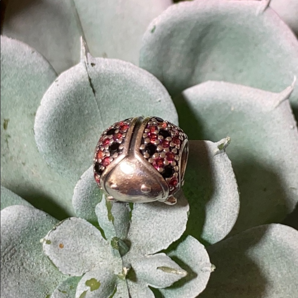 Pandora Charm Ladybug 🐞 with cz